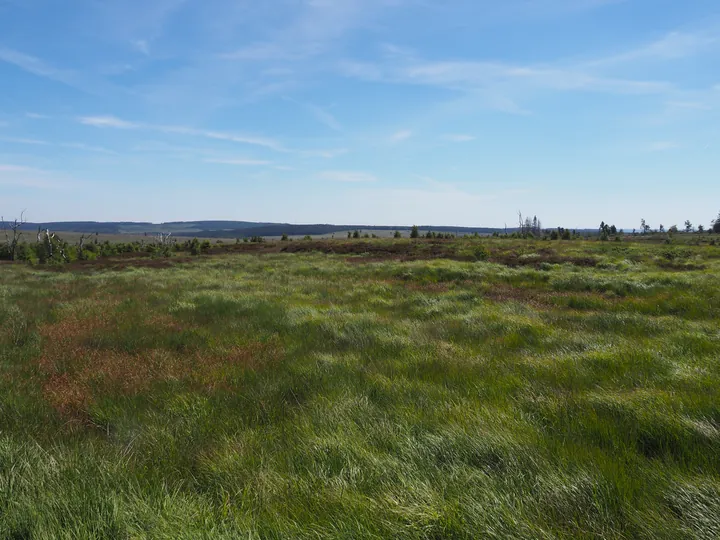 Signal de Botrange (Belgium)